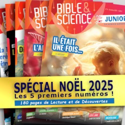 Spécial Noël 2025