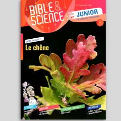 Spécial Noël - Mag 1 à 5