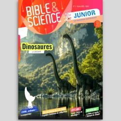 Spécial Noël - Mag 1 à 5