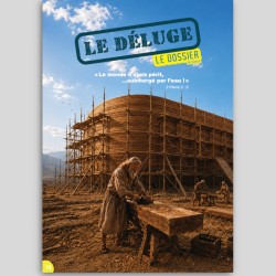 Mag N° 7 - Le Déluge