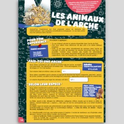 Mag N° 7 - Le Déluge