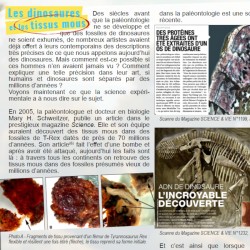 Peu de gens le savent !