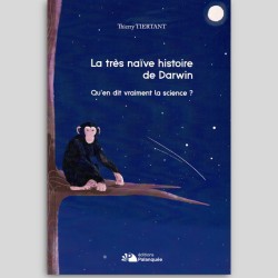La très naïve histoire de...