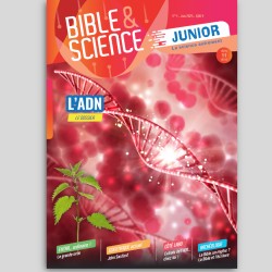 N° 4 - L'ADN