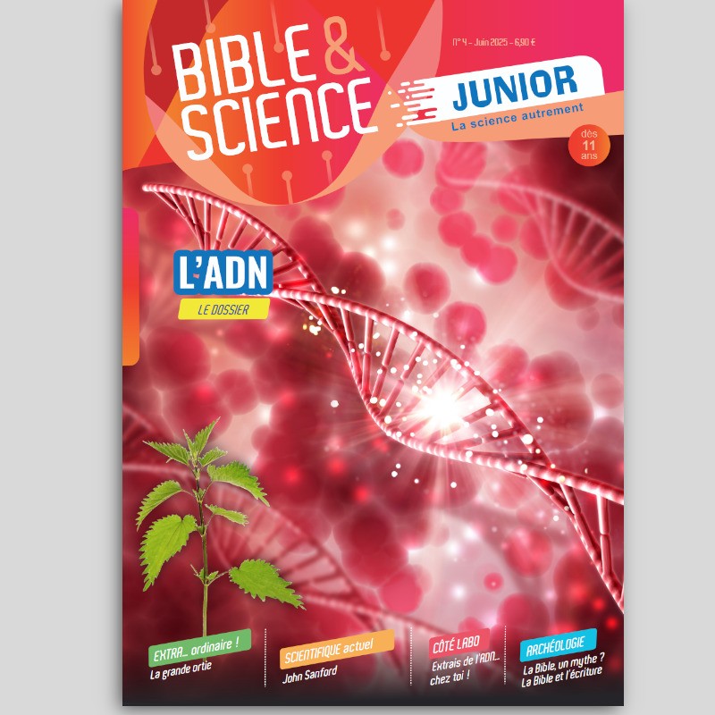 N° 4 - L'ADN