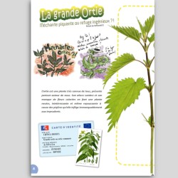 N° 4 - L'ADN