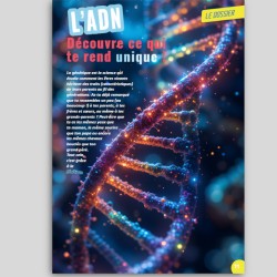 N° 4 - L'ADN