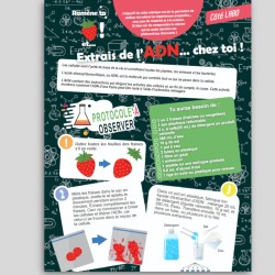 N° 4 - L'ADN