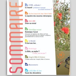 N° 5 - Il était une fois